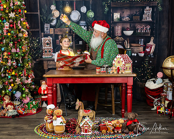 FUN SANTA PHOTO SESSIONS BY TERESA ARTHUR PHOTOGRAPHY NORTHERN VIRGINIA