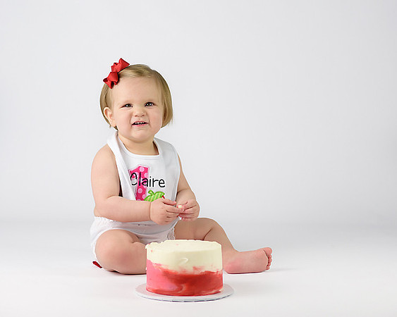 one year girl cake smash session