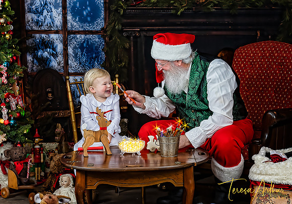 FUN SANTA EXPERIENCE PHOTO SESSIONS BY TERESA ARTHUR PHOTOGRAPHY NORTHERN VIRGINIA