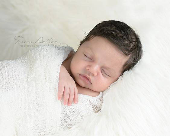 natural newborn portrait photographer in nova