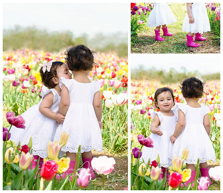 nova baby photographer