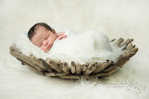 Teresa Arthur Photography Newborn in driftwood basket