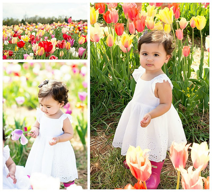 warrenton virginia child photographers