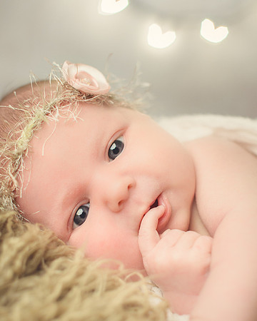 NORTHERN VIRGINIA NEWBORN PHOTOGRAPHER