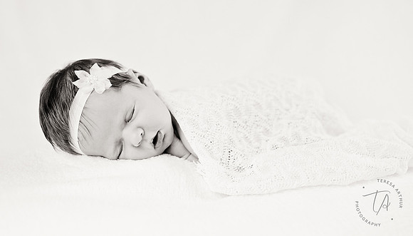 northern virginia  virginia newborn photographer teresa arthur photography