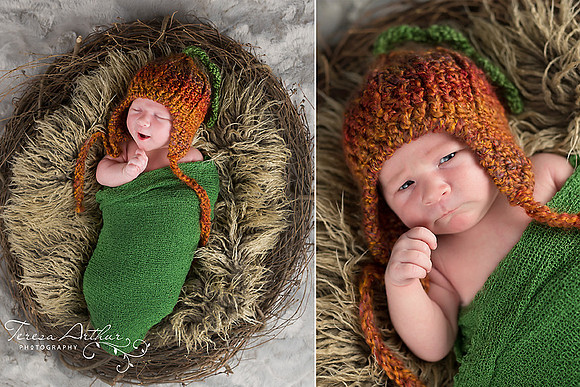 Fall themed newborn portrait by Teresa Arthur Photography