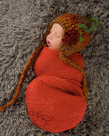 fall newborn portrait by teresa arthur photography