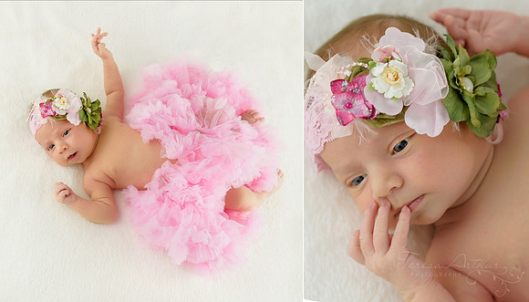 nova newborn photographer teresa arthur photography