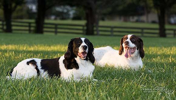NOVA FAMILY AND PET PHOTOGRAPHY-2 by Teresa Arthur