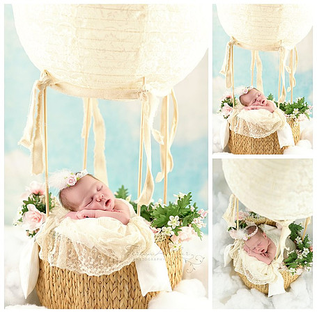 boutique newborn portraits in northern virginia