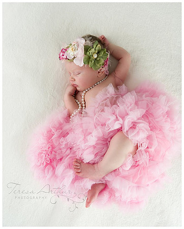 gainesville va newborn photograper