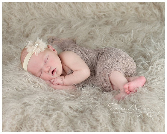 centreville va newborn photographers