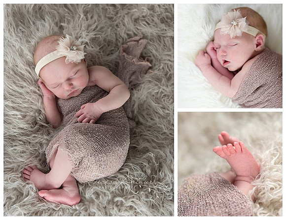 manassas newborn photographers