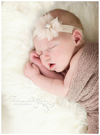 leesburg va newborn photographer
