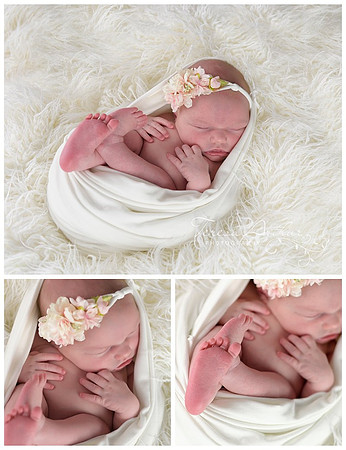 leesburg va newborn photographer