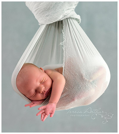 leesburg va newborn photographer