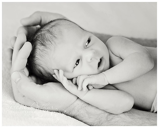 black and white newborn portraits by teresa arthur photography