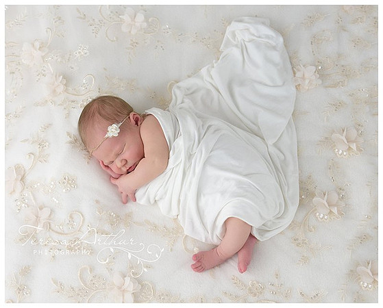 manassas va newborn photographer