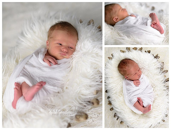 warrenton va newborn photographers