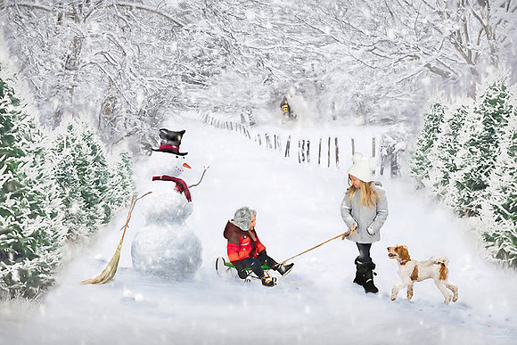 NORTHERN VIRGINIA FAMILY PHOTOGRAPHER-CHRISTMAS SESSIONS-TERESA ARTHUR PHOTOGRAPHY