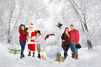 NORTHERN VIRGINIA CHRISTMAS PHOTOS BY TERESA ARTHUR PHOTOGRAPHY