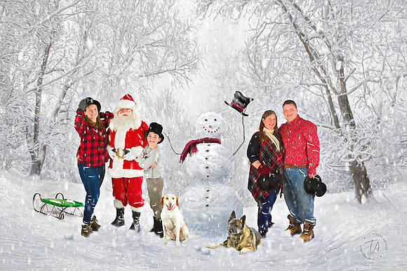 NORTHERN VIRGINIA CHRISTMAS PHOTOS BY TERESA ARTHUR PHOTOGRAPHY
