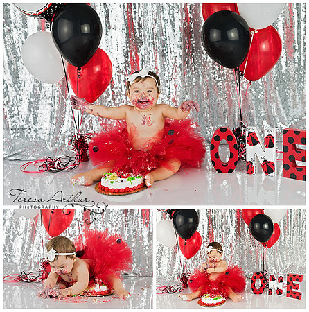 northern virginia bay photographer cake smash photos - teresa arthur