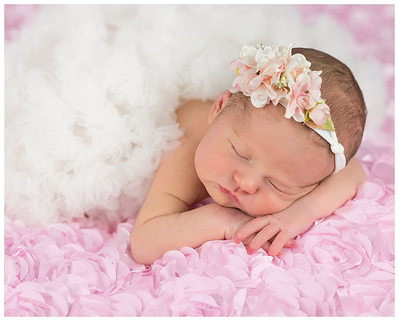 northern virginia newborn girl portrait by teresa arthur photography