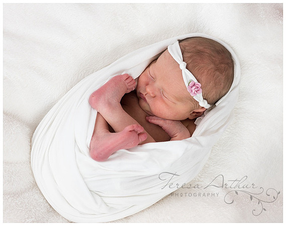 pure and simple newborn photography northern virginia photographer teresa arthur