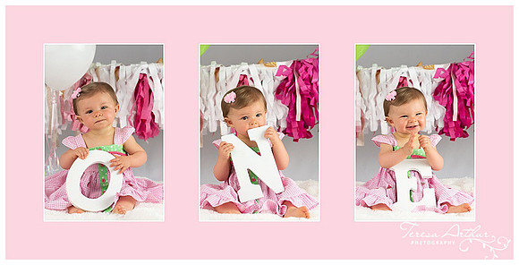 northern virginia baby photographer one year photos teresa arthur photography