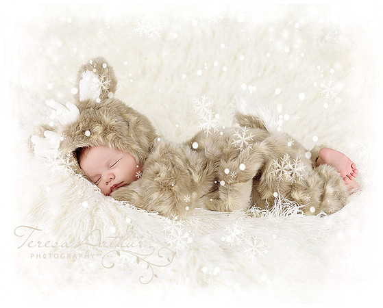 christmas baby photos by teresa arthur photography