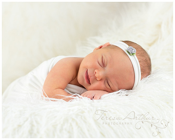 newborn portraits by teresa arthur
