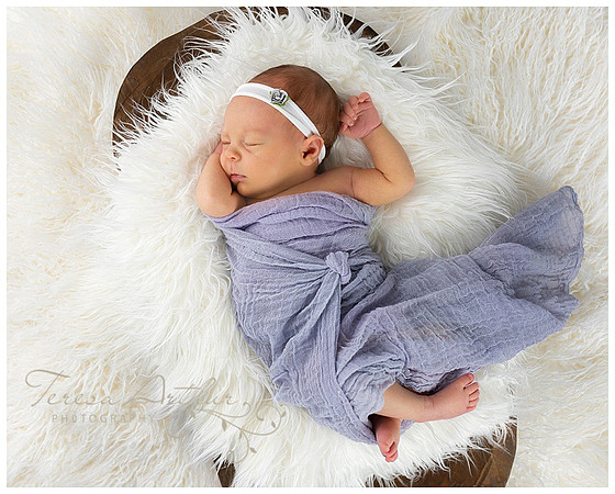 natural light studio newborn portraits by teresa arthur photography
