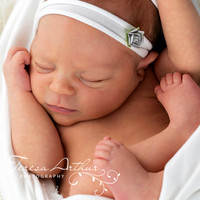 northern virginia newborn photographer teresa arthur warrenton va