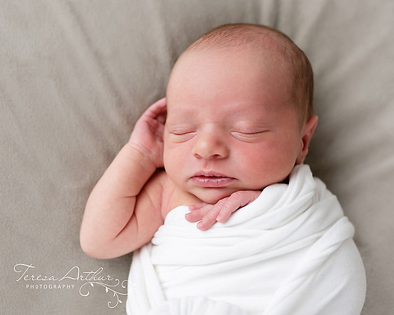 STUDIO NEWBORN PHOTOGRAPHY-TERESA ARTHUR PHOTOGRAPHY