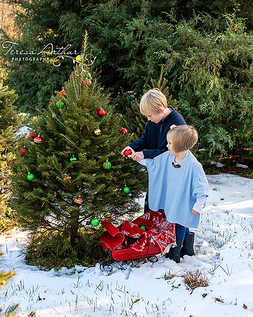 CHRISTMAS FAMILY PORTRAITS BY TERESA ARTHUR PHOTOGRAPHY