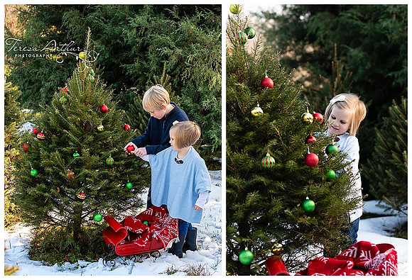 kid photographer in northern virginia-teresa arthur photography