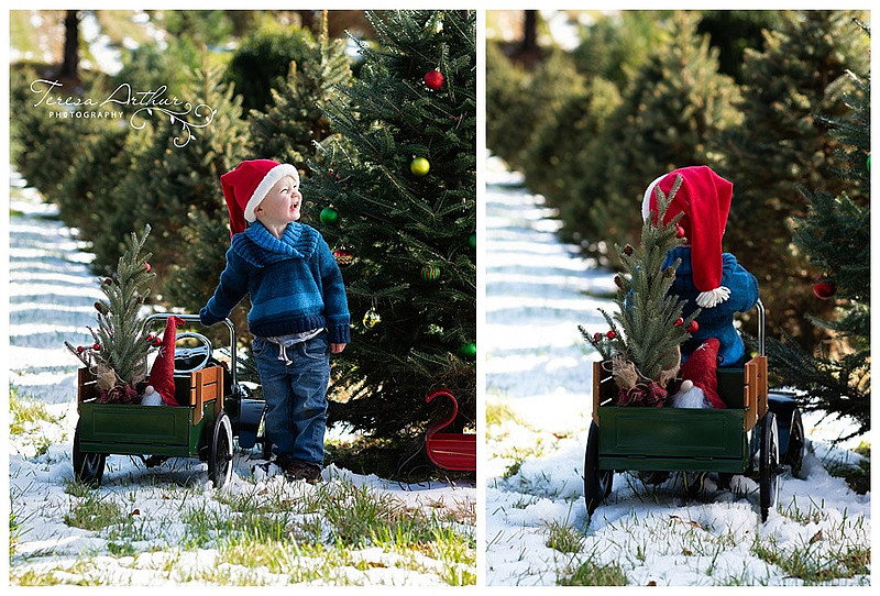 CHRISTMAS TREE FARM FAMILY PORTRAITS IN NORTHERN VIRGINIA BY TERESA ARTHUR PHOTOGRAPHY