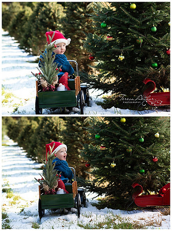CHILDREN'S CHRISTMAS PHOTOS BY TERESA ARTHUR PHOTOGRAPHY