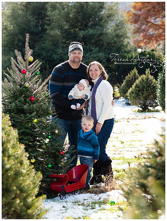 NORTHERN VIRGINIA CHRISTMAS FAMILY PORTRAITS BY TERESA ARTHUR