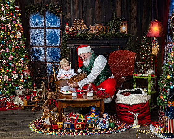 NOVA SANTA PORTRAIT SESSIONS BY TERESA ARTHUR PHOTOGRAPHY