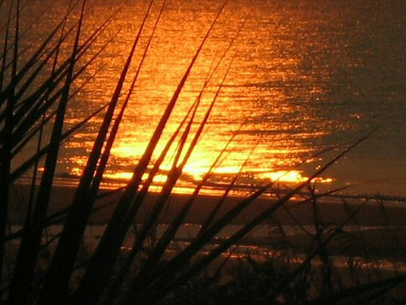 PIMG0960_037