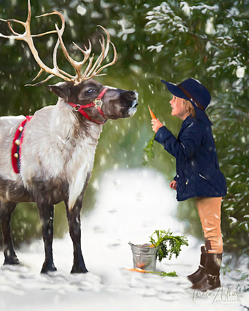 CHRISTMAS PHOTO SESSIONS IN NORTHERN VA-TERESA ARTHUR PHOTOGRAPHY