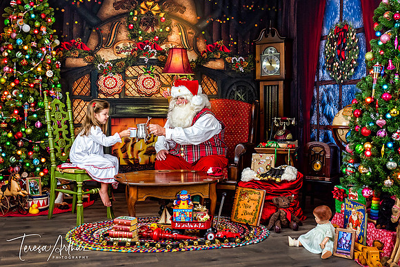 COOKIES AND MILK WITH SANTA BY TERESA ARTHUR PHOTOGRAPHY