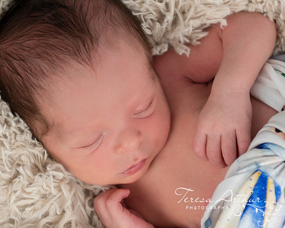 Newborn Photos by Teresa Arthur Photography in NOVA