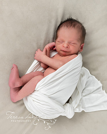 Northern Virginia Newborn Photographer-Teresa Arthur