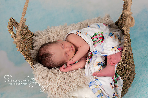 SWEET CUSTOM NEWBORN PORTRAITS BY TERESA ARTHUR PHOTOGRAPHY