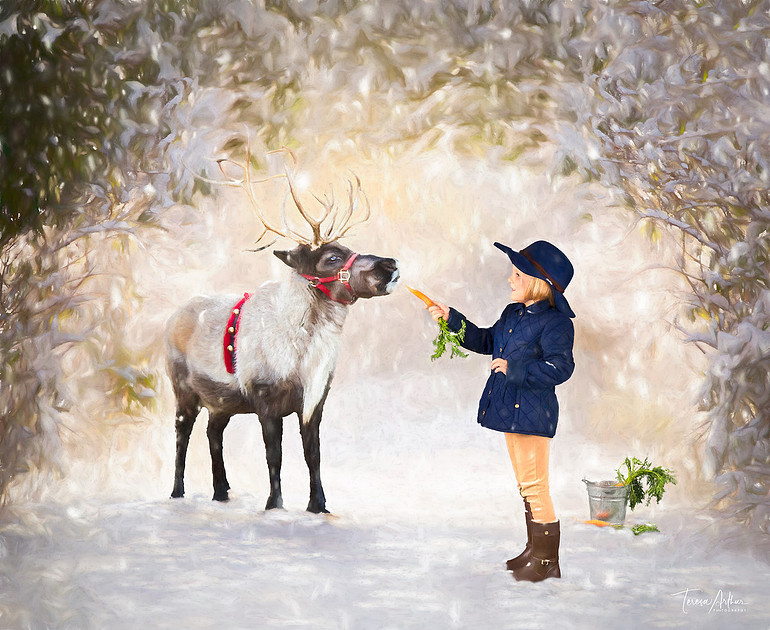 Santa's Reindeer Pictures by Teresa Arthur Photography