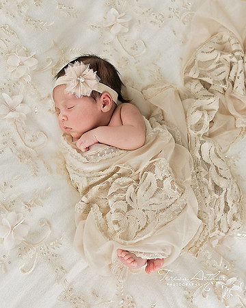 fauquier county newborn photographer teresa arthur