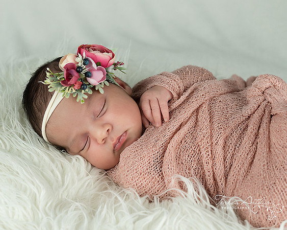 baby photographer in northern virginia